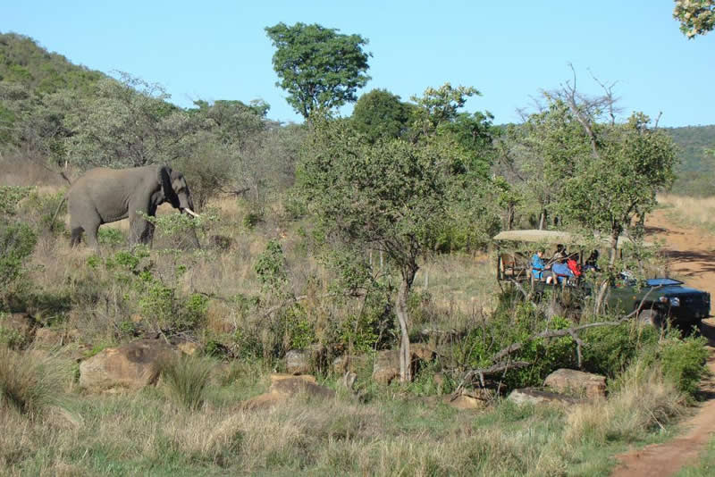 Safari lodges in south africa
